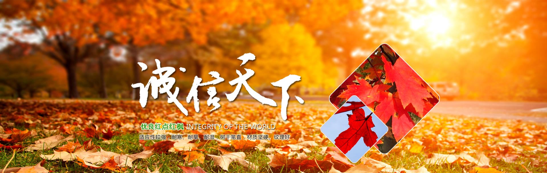 涿州方興建筑工程有限公司