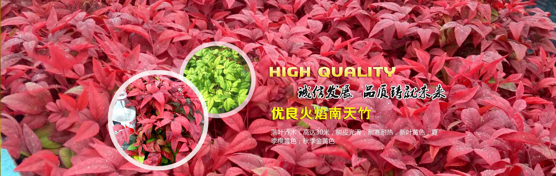 涿州方興建筑工程有限公司