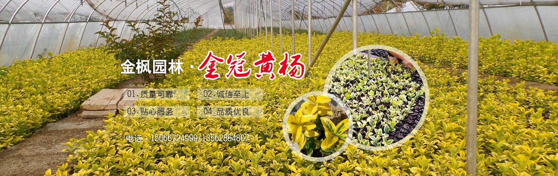 涿州方興建筑工程有限公司